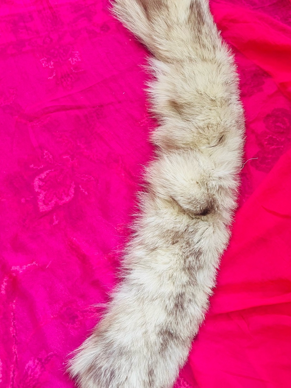 Natural Faux Fur Stole - Cream and Light Brown